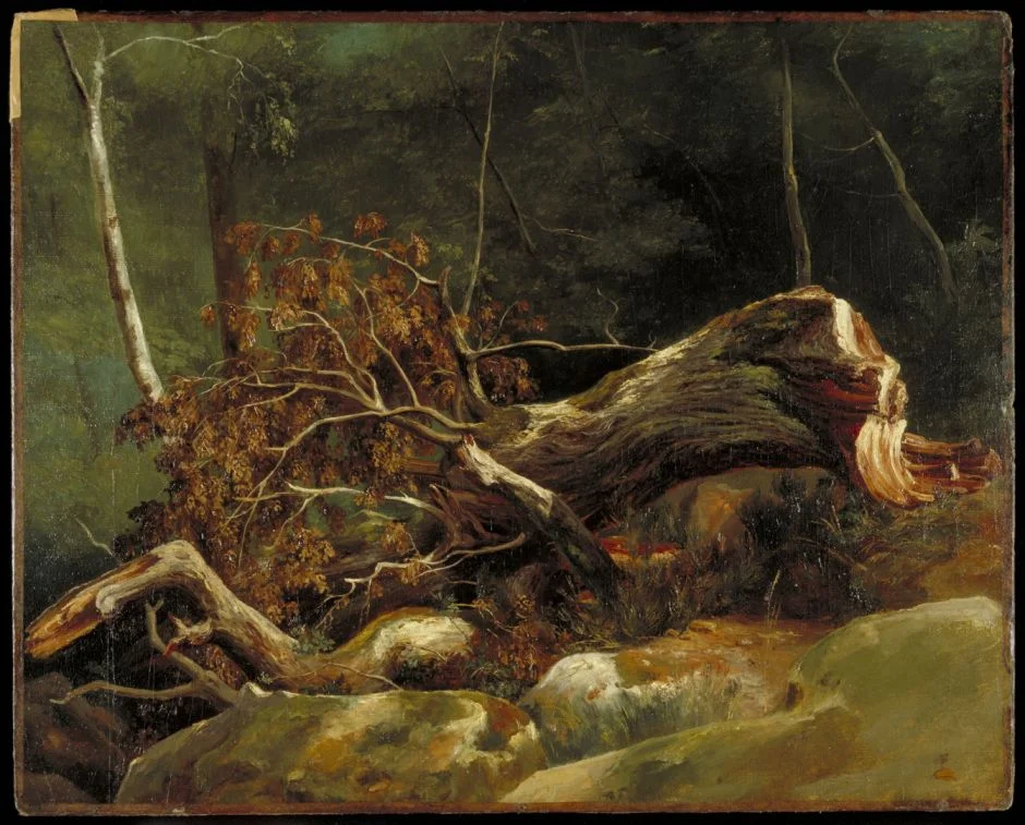 michallonbranchfontainebleau