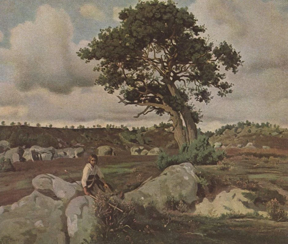 Jean-Baptiste-Camille Corot (1796–1875), Fontainebleau Forest (The Oak) (c 1830), oil on canvas, 48 x 59 cm, Private collection. Wikimedia Commons.