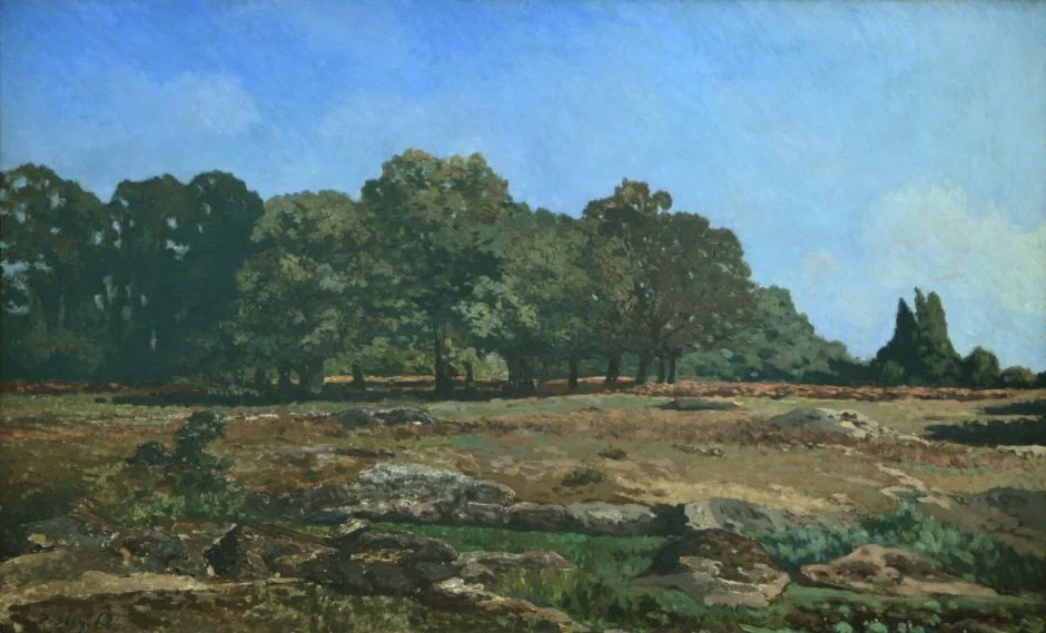 sisleyavenuechestnuts