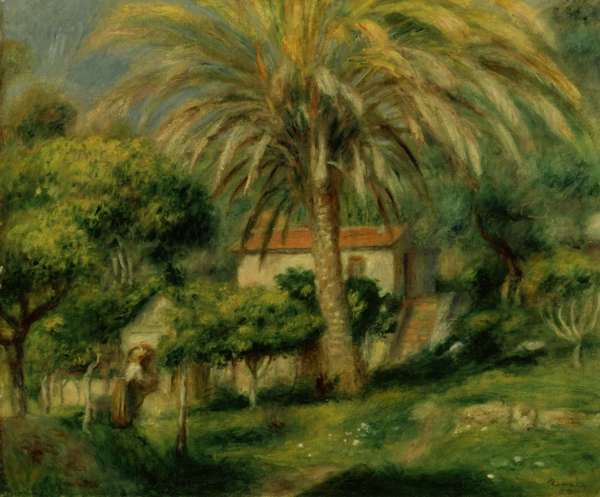 Portraits of trees: Palm