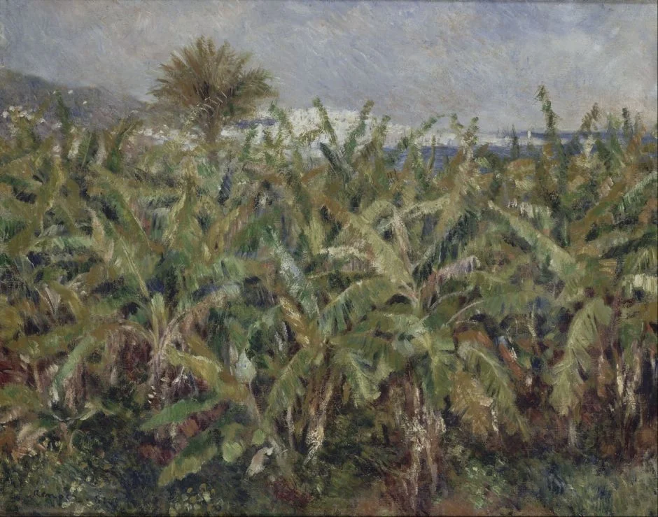 renoirbananatrees