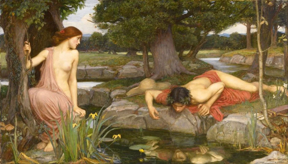 waterhouseechonarcissus