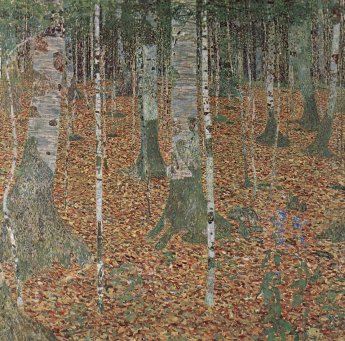 Portraits of trees: Klimt’s forests