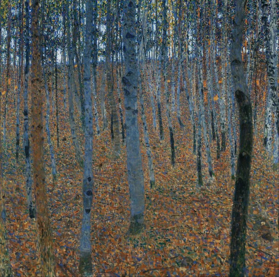 klimtbeechgrovei